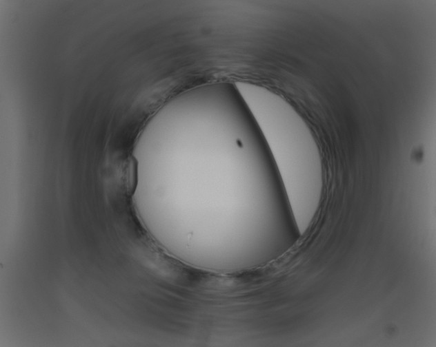X0000093440276200710120951