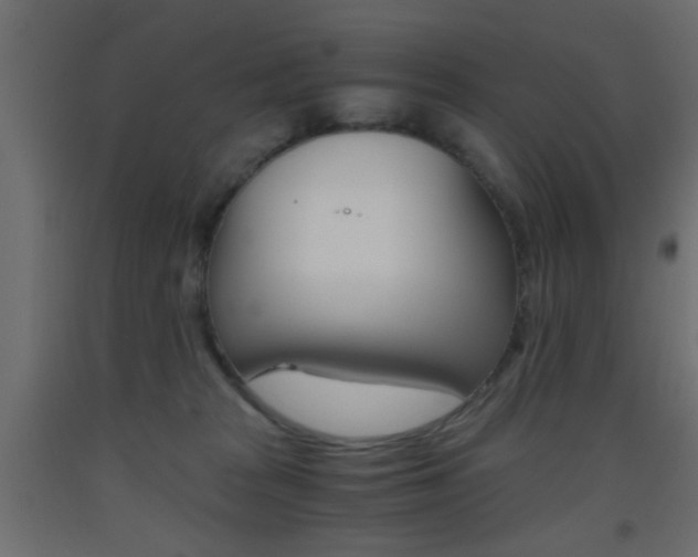 X0000093440277200710120951