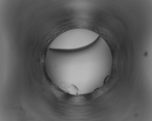 X0000093440278200710120951