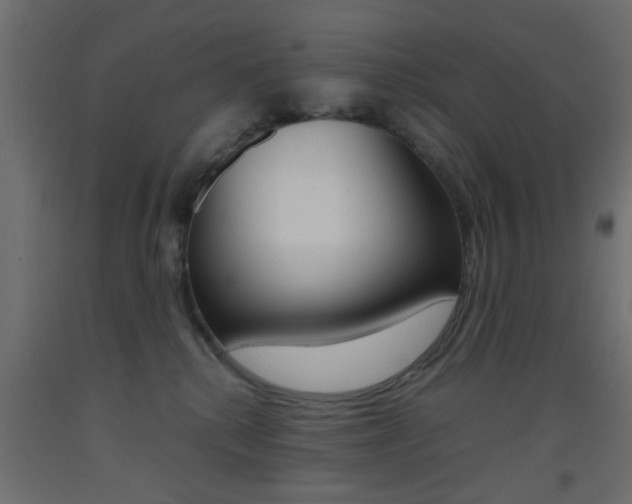 X0000093440280200710120951
