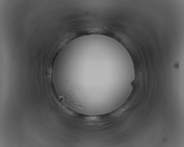 X0000093440281200710120951