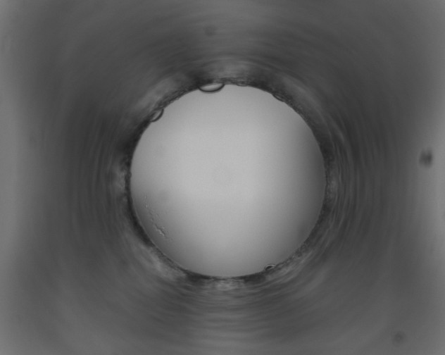 X0000093440282200710120951