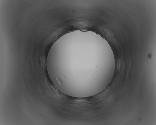 X0000093440283200710120951