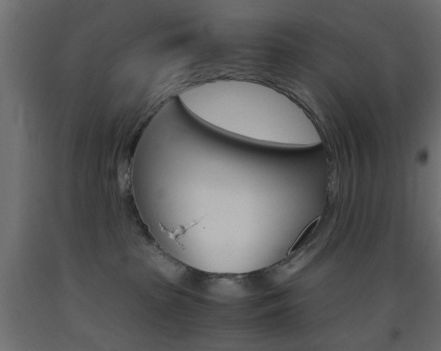 X0000093440285200710120951