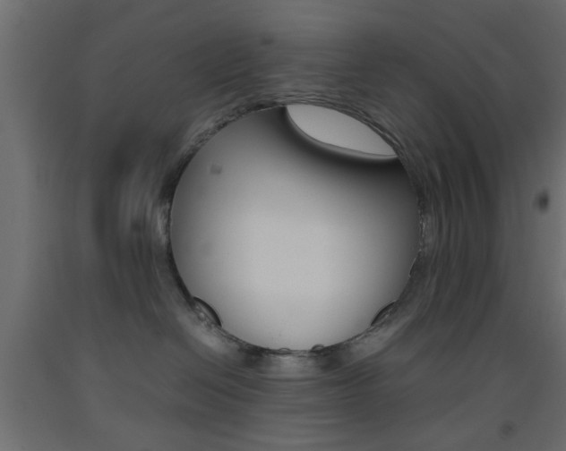 X0000093440286200710120951