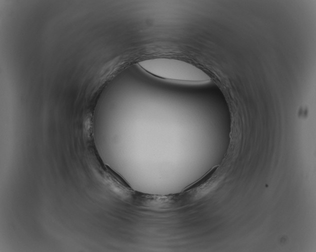 X0000093440288200710120951
