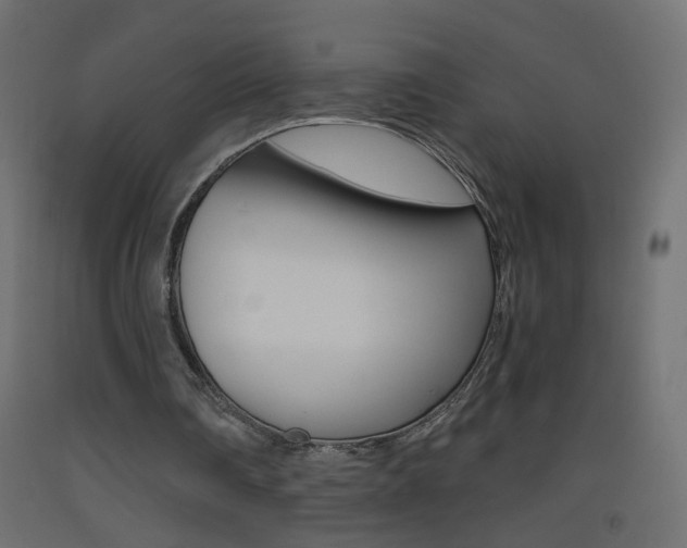 X0000093440290200710120951