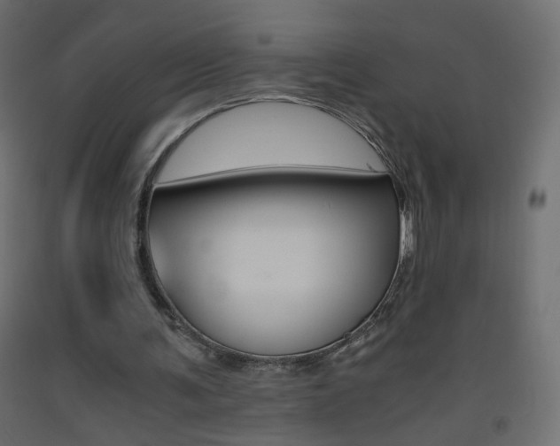 X0000093440291200710120951