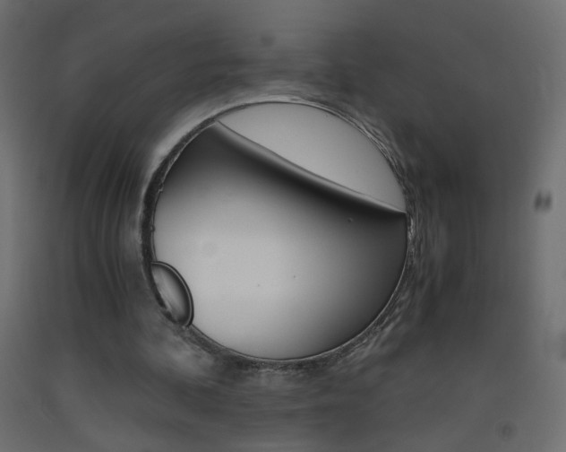 X0000093440292200710120951