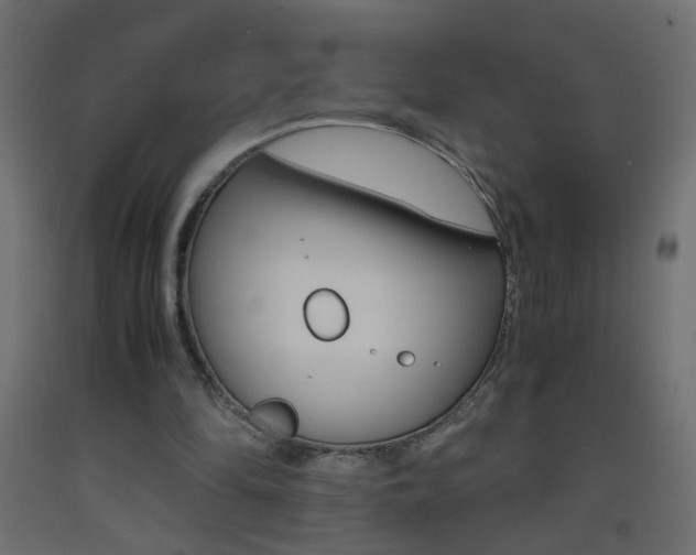 X0000093440294200710120951
