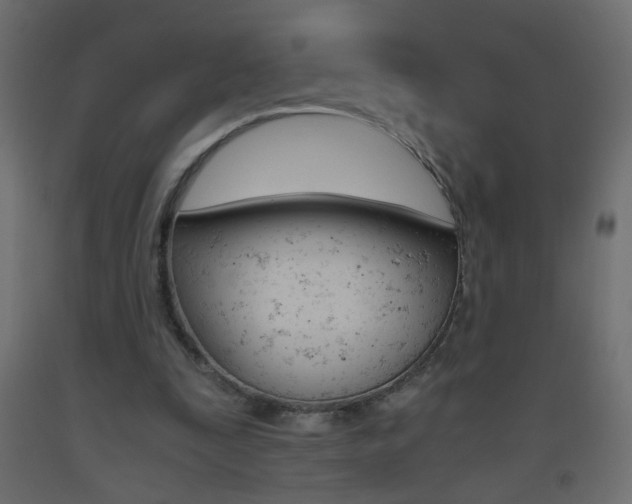 X0000093440295200710120951