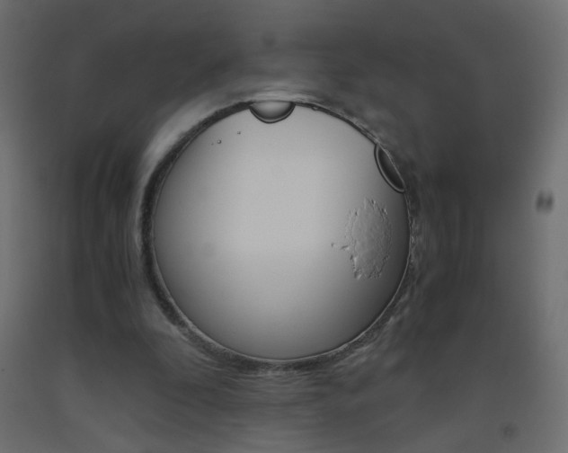 X0000093440296200710120951