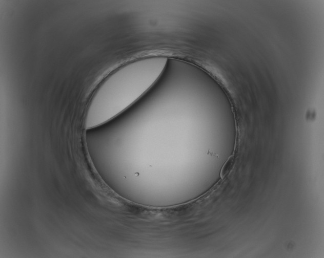 X0000093440297200710120951