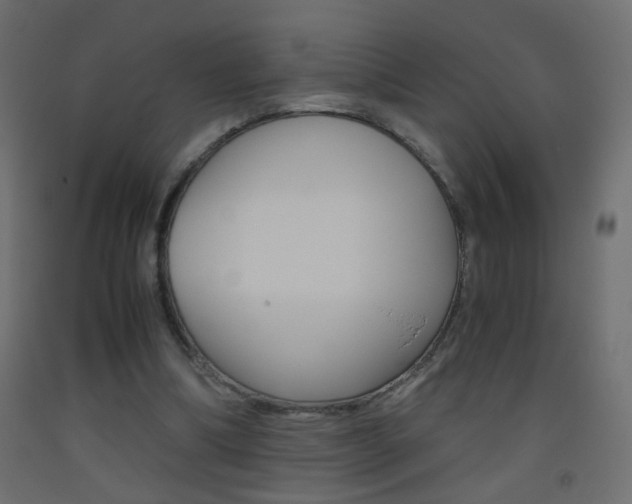 X0000093440298200710120951