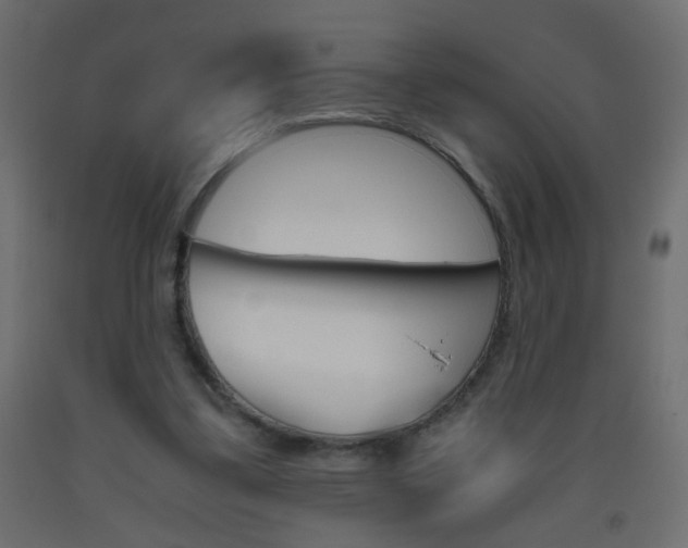 X0000093440299200710120951