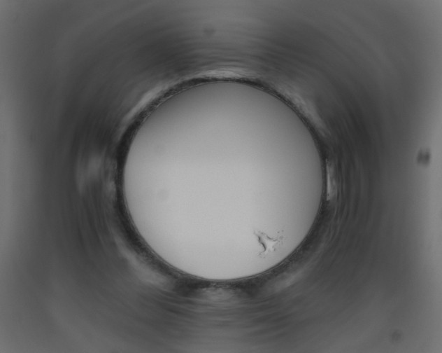 X0000093440300200710120951