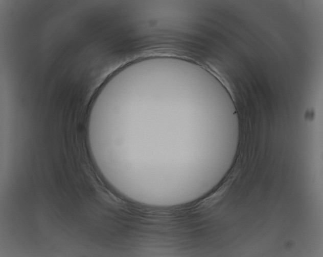 X0000093440301200710120951