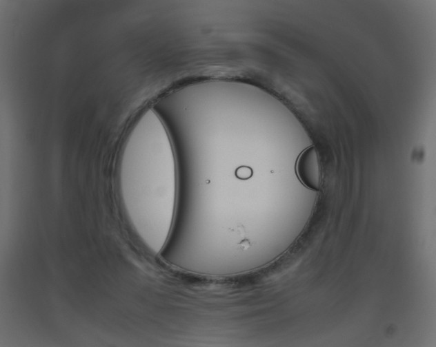 X0000093440303200710120951