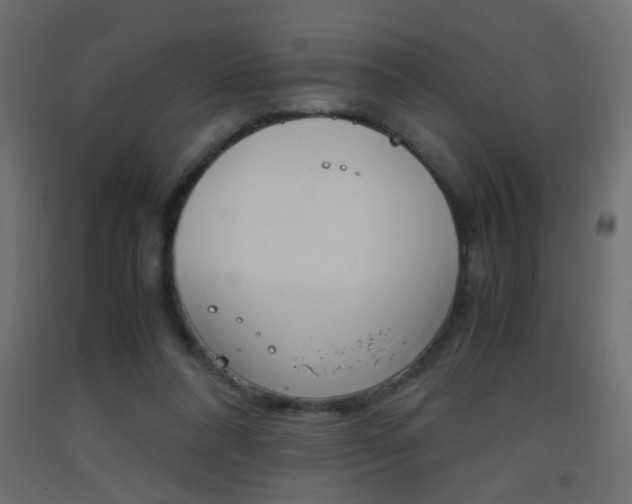 X0000093440304200710120951