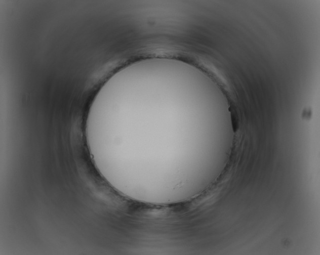 X0000093440306200710120951