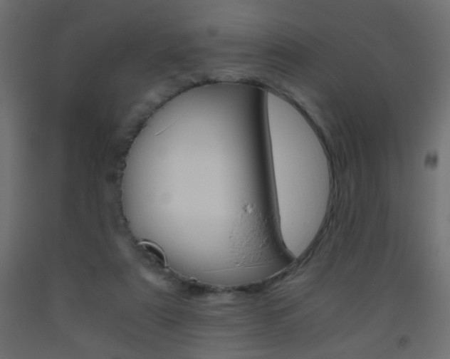 X0000093440307200710120951