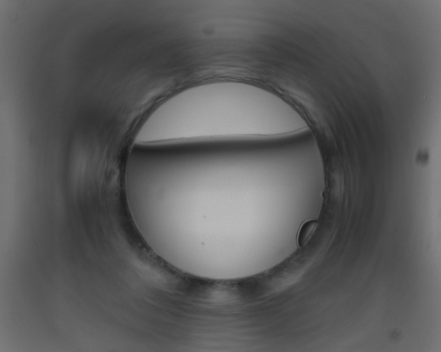 X0000093440308200710120951