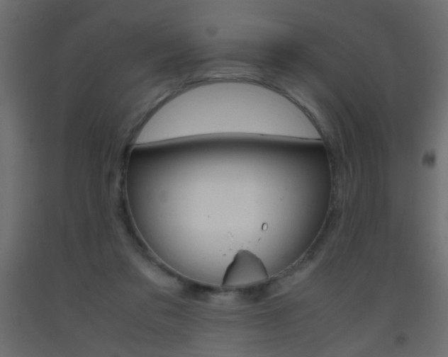X0000093440309200710120951