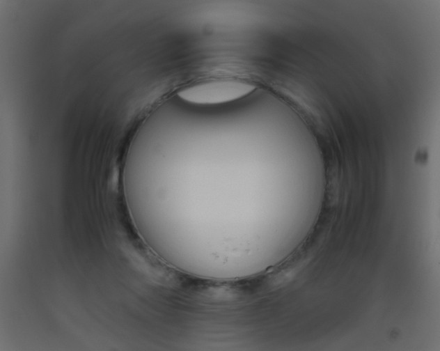 X0000093440310200710120950