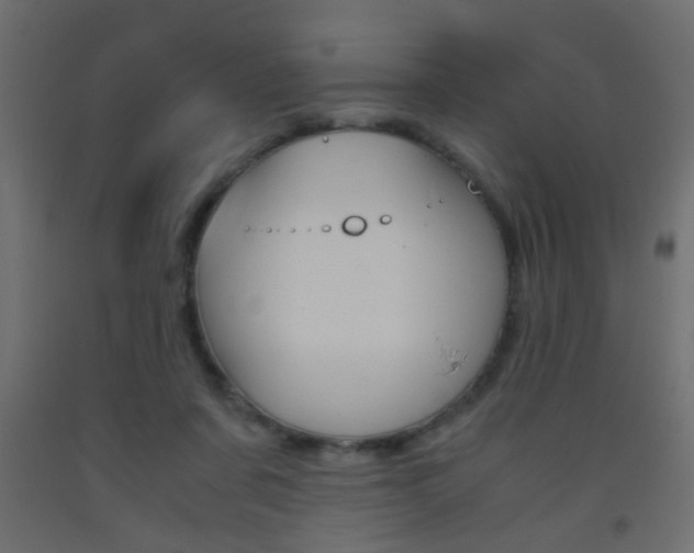 X0000093440311200710120950