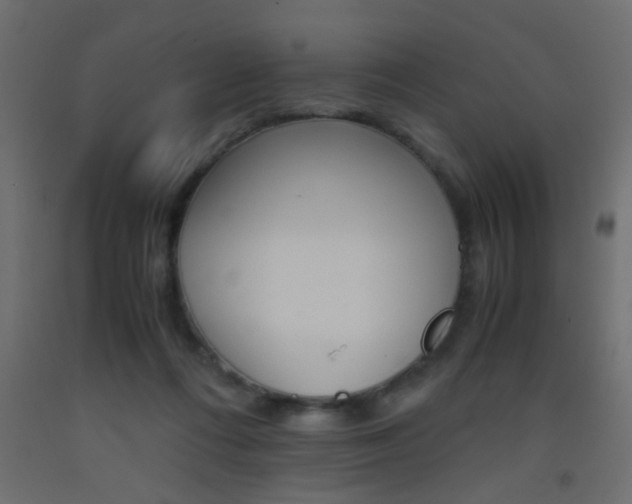 X0000093440312200710120950