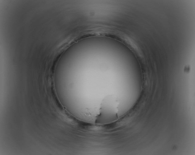 X0000093440313200710120950