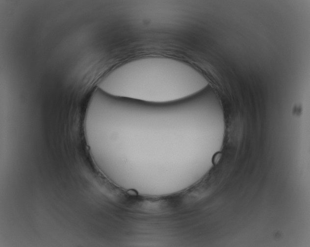 X0000093440314200710120950