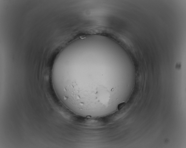 X0000093440315200710120950