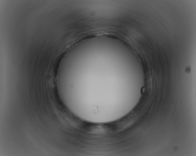X0000093440316200710120950