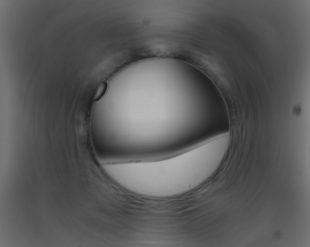 X0000093440317200710120950