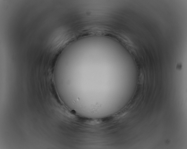 X0000093440318200710120950