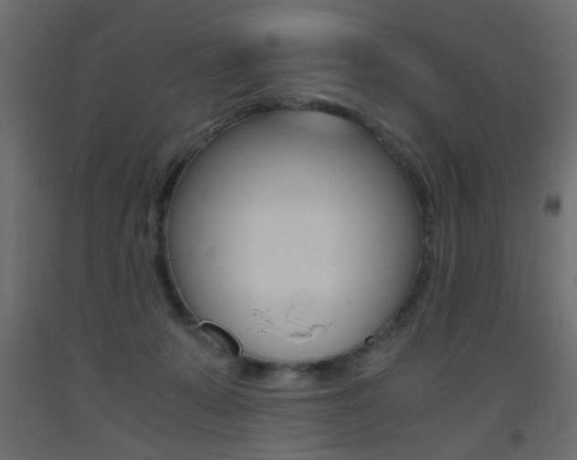 X0000093440319200710120950