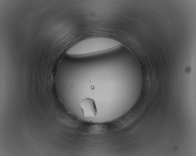X0000093440320200710120950