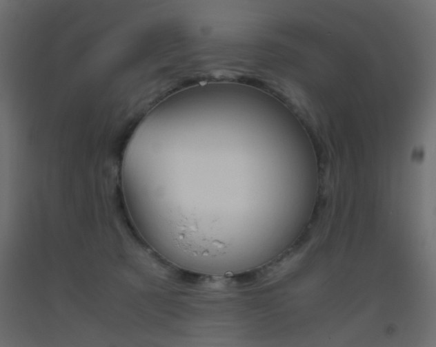 X0000093440321200710120950
