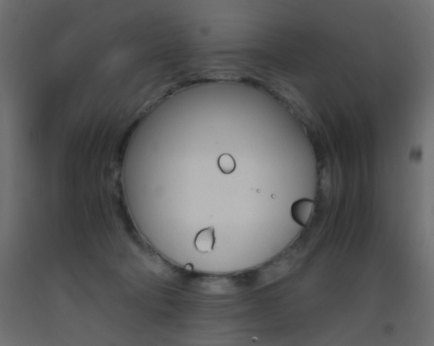 X0000093440322200710120950