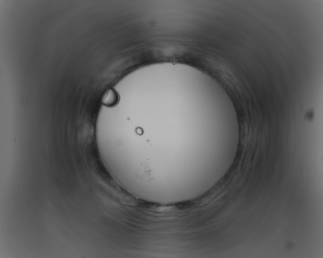 X0000093440324200710120950