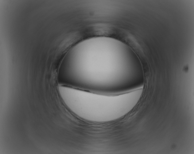 X0000093440325200710120950