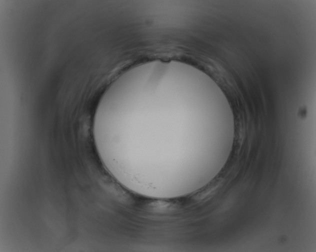 X0000093440326200710120950
