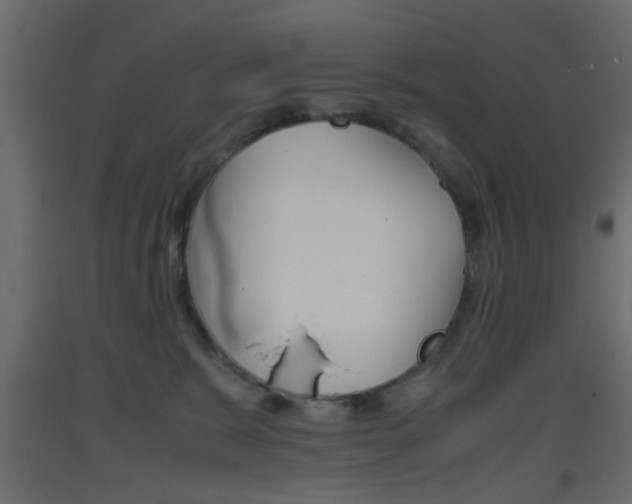 X0000093440327200710120950