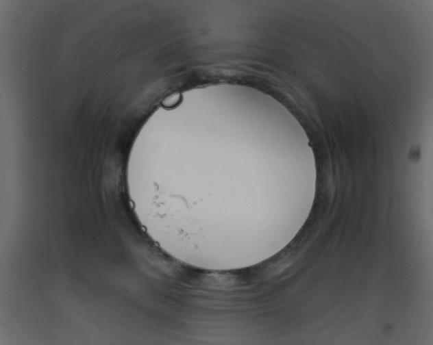 X0000093440328200710120950