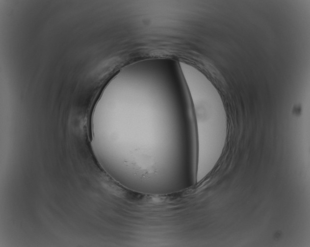 X0000093440329200710120950