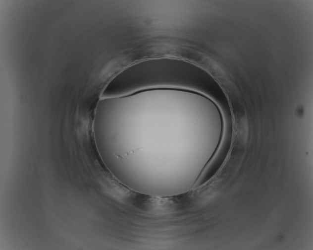 X0000093440333200710120950