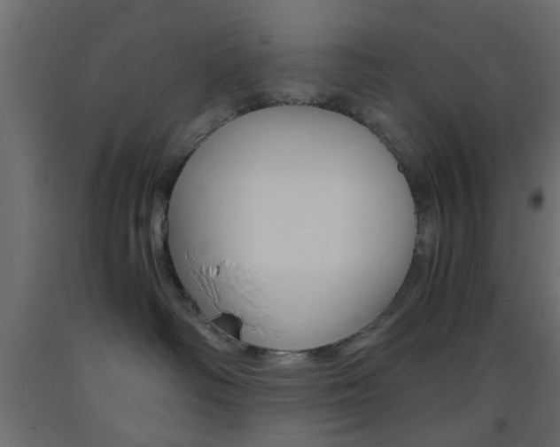 X0000093440334200710120950