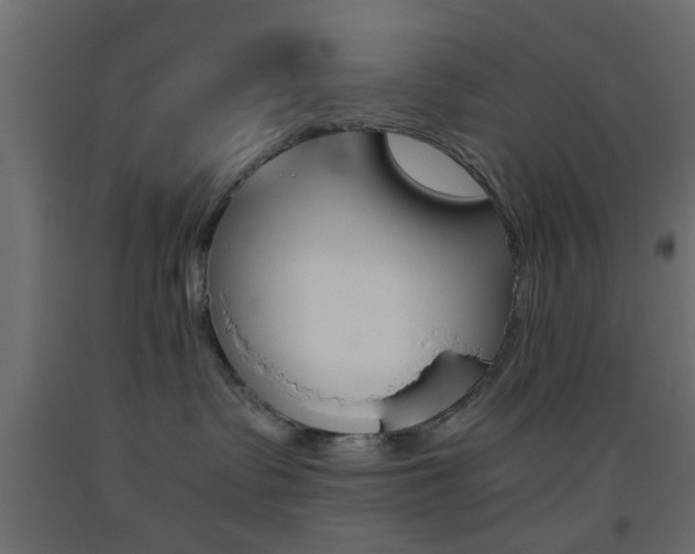 X0000093440335200710120950