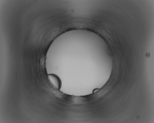 X0000093440336200710120950